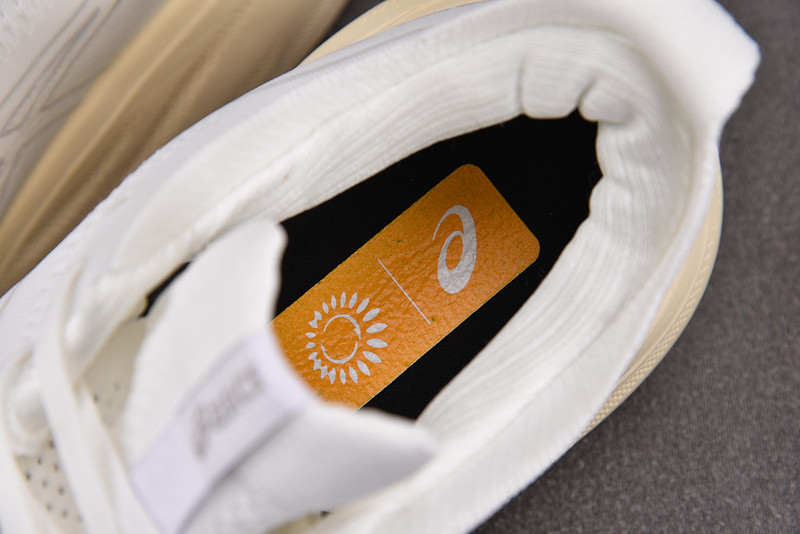 As*ic*s gel nimbus 25 